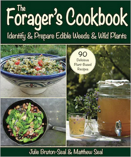 The Forager’s Cookbook
