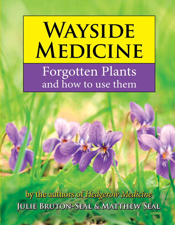Wayside Medicine Book Cover